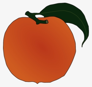 Food, Fruit, Outline, Leaf, Cartoon, Orange, Peach - Peach Clip Art