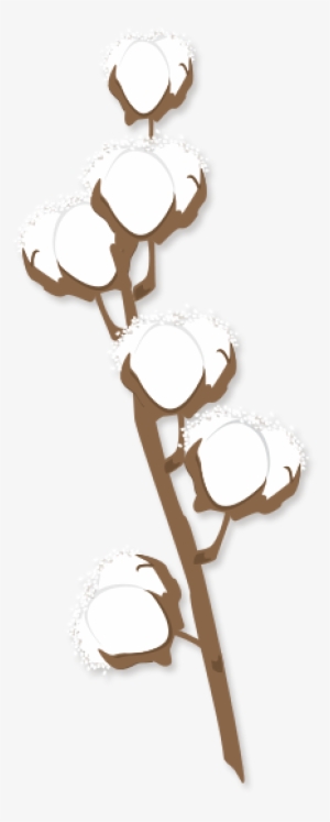 Come Walk In Tall Cotton Where The Good Life And Great - Cotton Stem Clipart