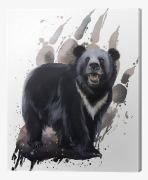 Black Bear With White Chest Watercolor Painting Canvas - Watercolor Black Bear