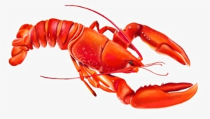 Lobster Png Photo - American Lobster