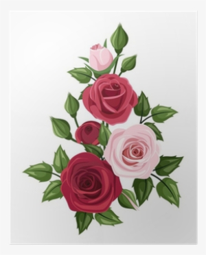 Red And Pink Roses - Rose Vector