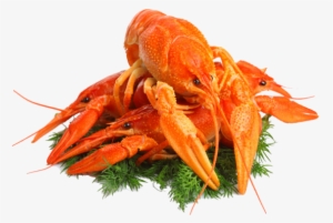 Lobster Png Free Download - Seafood Png