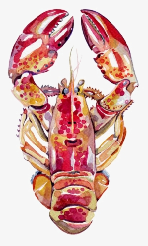 Lobster Watercolor Png - Holly Exley Sea