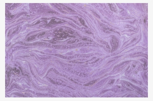 17 Jan 2018 - Star Stable Youtube Banner