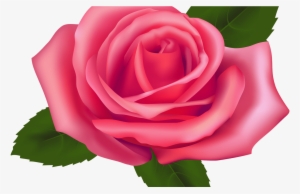 Collection Of Free Rose Vector Transparent Background - Rose Clipart