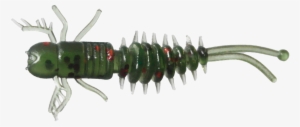 231456 - Louse