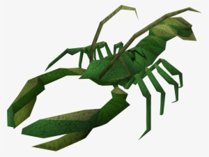 The Runescape Wiki - Lobster