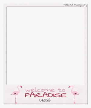 Wtp Polaroids Png - Handwriting