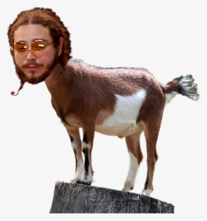 Quote - Post Malone As A Goat