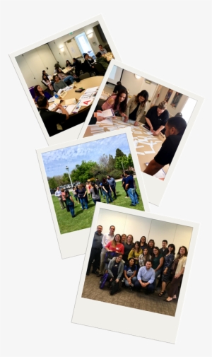 Training Polaroids - Collage