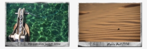 Polaroids-grand - Plywood