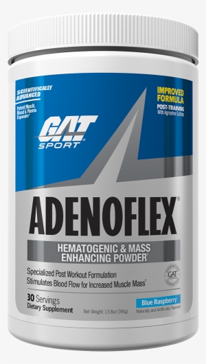 Previous - Gat Sport L-glutamine - 300g