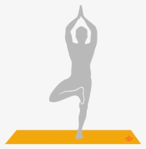 Trunk Building Postures Like Tree Pose, Vasistasana - Yoga Vrksasana