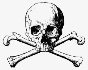 Skull Drawing Images - Skull And Bones Png