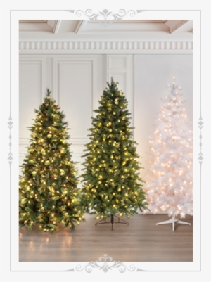 Árboles De Navidad - Tree