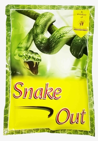 Troubled By Snakes - 3d Animals Wallpaper Download