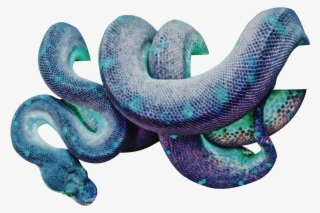 Totallytransparent Wrapping Itself Around - Snake Wrapping Around Prey