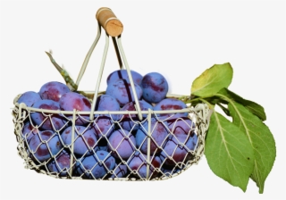 Fruit Basket Images - Buah Duwet