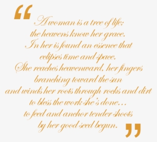 Soul Of Saurabh & Shena The Couture Is Defined By Its - Biroska