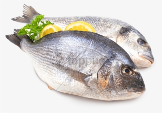 Free Png Fish Meat Png Png Image With Transparent Background - Pescado Png