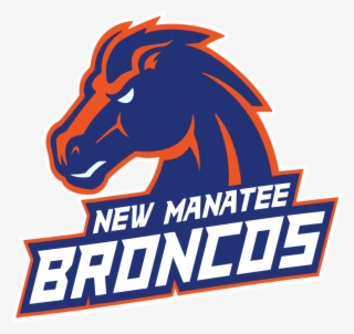 Boise State Broncos Fiesta Bowl