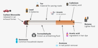 Smoking The Facts - Whats In A Smoke