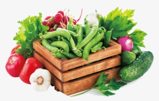 Guaranteed 100% Taste, Freshness & Nutritional Content - Organic Vegetables Png