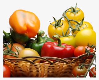 Contact - Cherry Tomatoes