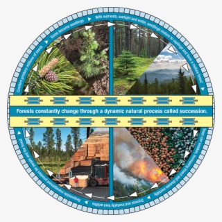 Pairing Tribal Knowledge With Modern Management, The - Circle