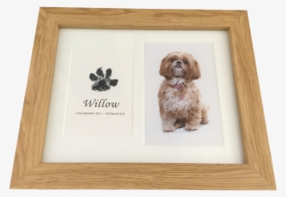 Dog Paw Print In Wood Frame With Photograph Using Inkless - Picture Frame