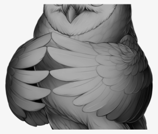 Barn Owl Cartoon - Cartoon Great Horned Owl