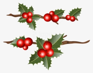 Free Png Holly Branches Png Images Transparent - Holly Png Free