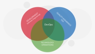 The Insight Will Be Sent To Your Email Address - Circle