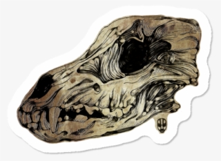 Animal Skull Ii $3 - Illustration
