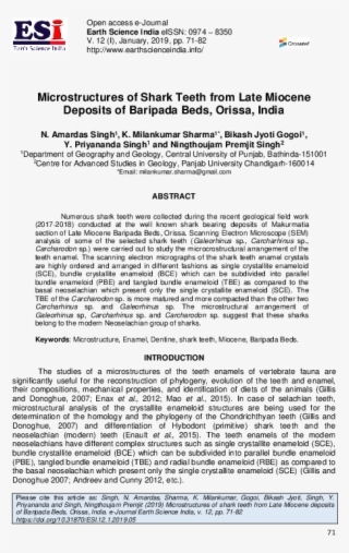 Pdf - Adjusting Foundations