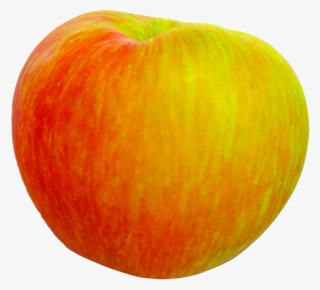 Honeycrisp Apple Fruit Food Png Image - Mcintosh