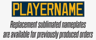 Sublimated Nameplates Twill Letter Nameplates - Microsoft Flight Simulator X