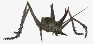 Glowing Cave Cricket - Fallout 4 Cave Cricket