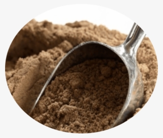 Insect Powder - Harina De Grillos