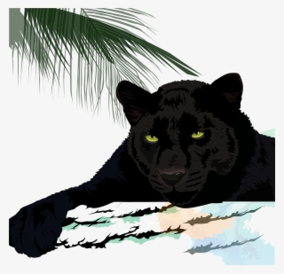 Black Cougar Leopard Jaguar - Jaguar Puma Black Panther Panther
