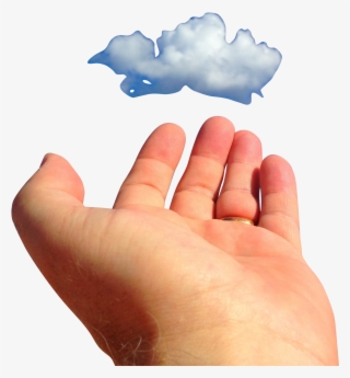 Hand-816820 Clip - Illustration