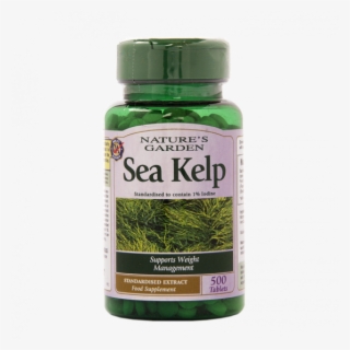 Verification Step - Sea Kelp Weight Management
