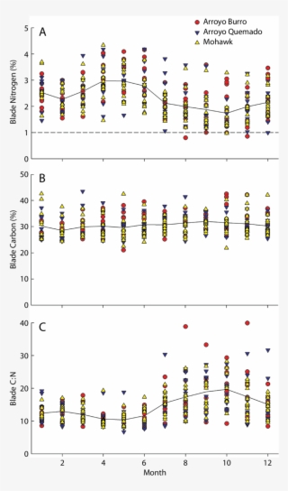 Annual Cycle Of Giant Kelp Blade Nitrogen Content As - Number