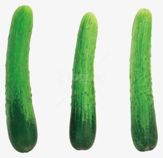 Download Cucumber Png Images Background - Cucumber