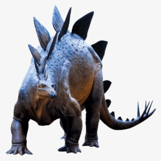 Pterosaurs Special Exhibit - Triceratops