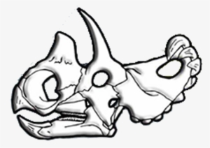 Wendiceratops Skull Diagram - Drawing