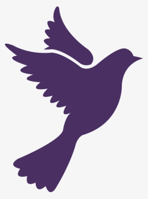 Nuestra Boda Palomas Png - Pigeon Vector