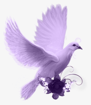 Paloma Png - Imagui - Tubes Png Condoléances Colombe