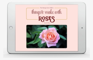 Check Out Jan Berry's Ebook “things To Make With Roses” - Rose