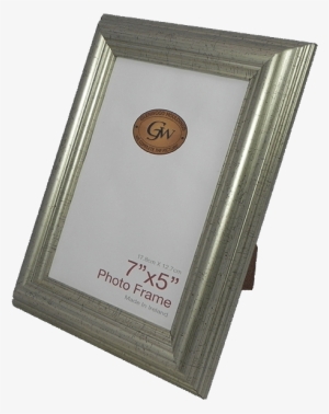 Silver Plastic Photo Frame - Gold Frame